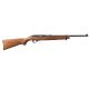 Ruger 10/22 Carbine Kentucky Derby Special 22 LR 10+1 18.50