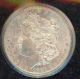 1881 S Morgan Dollar (1)