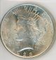 1923 P Peace Dollar (1)