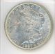 1887 P Morgan Dollar (5)