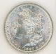 1887 P Morgan Dollar (6)