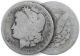 Pre 1921 Morgan Culls